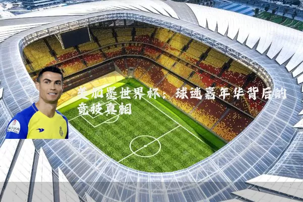美加墨世界杯：球迷嘉年华背后的竞技真相